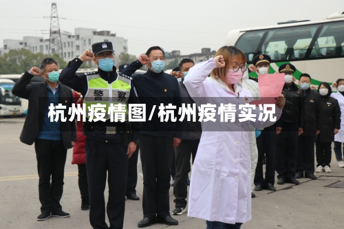 杭州疫情图/杭州疫情实况-第3张图片