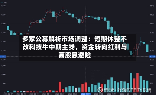 多家公募解析市场调整：短期休整不改科技牛中期主线，资金转向红利与高股息避险-第3张图片