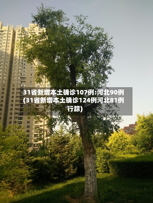 31省新增本土确诊107例:河北90例(31省新增本土确诊124例河北81例行踪)