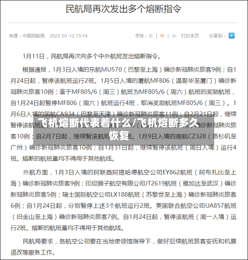 飞机熔断代表着什么/飞机熔断多久恢复