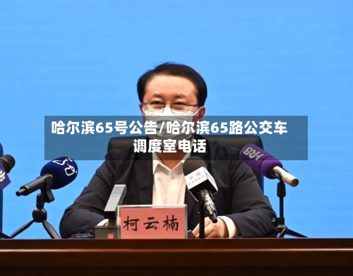 哈尔滨65号公告/哈尔滨65路公交车调度室电话-第2张图片
