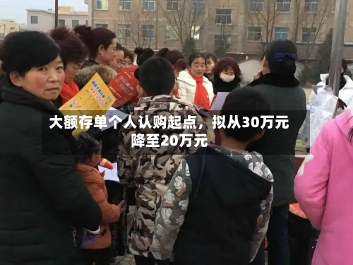 大额存单个人认购起点，拟从30万元降至20万元-第2张图片