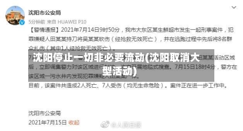 沈阳停止一切非必要流动(沈阳取消大型活动)-第3张图片