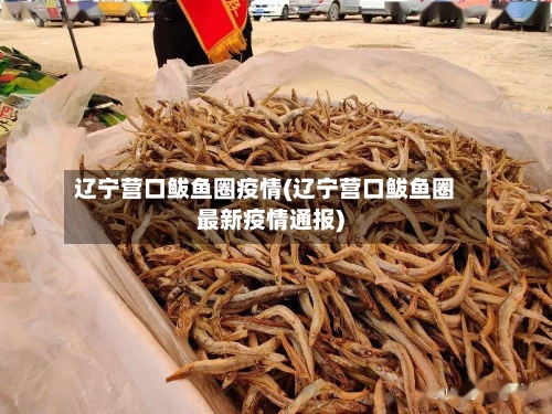 辽宁营口鲅鱼圈疫情(辽宁营口鲅鱼圈最新疫情通报)