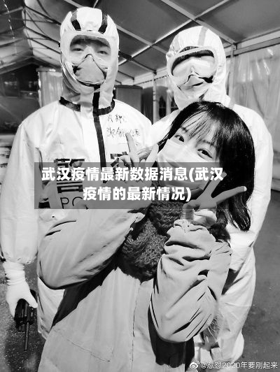武汉疫情最新数据消息(武汉疫情的最新情况)-第2张图片