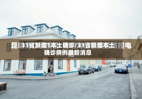 31省新增1本土确诊/31省新增本土确诊病例最新消息-第2张图片
