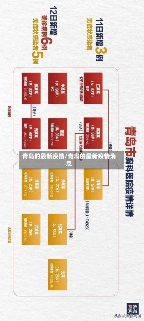 青岛的最新疫情/青岛的最新疫情消息-第3张图片