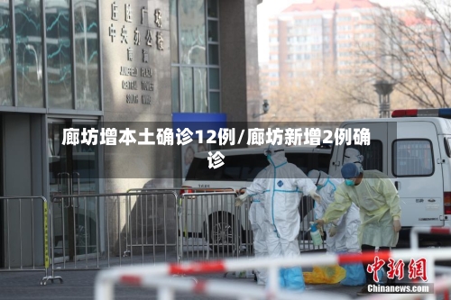 廊坊增本土确诊12例/廊坊新增2例确诊
