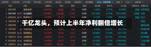 千亿龙头，预计上半年净利翻倍增长-第2张图片