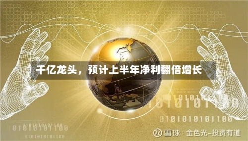 千亿龙头，预计上半年净利翻倍增长-第3张图片