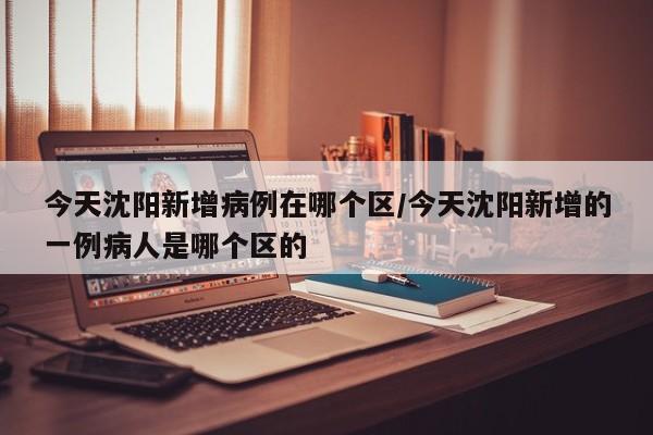 今天沈阳新增病例在哪个区/今天沈阳新增的一例病人是哪个区的