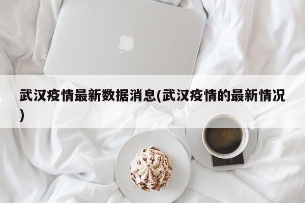 武汉疫情最新数据消息(武汉疫情的最新情况)