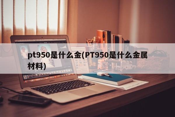 pt950是什么金(PT950是什么金属材料)