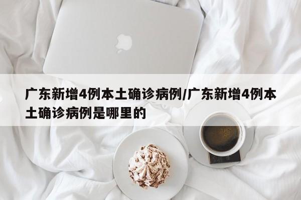 广东新增4例本土确诊病例/广东新增4例本土确诊病例是哪里的
